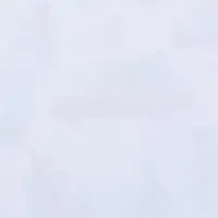 Бумага упаковочная новогодняя глянцевая «Новогодний лес», 68×100 см