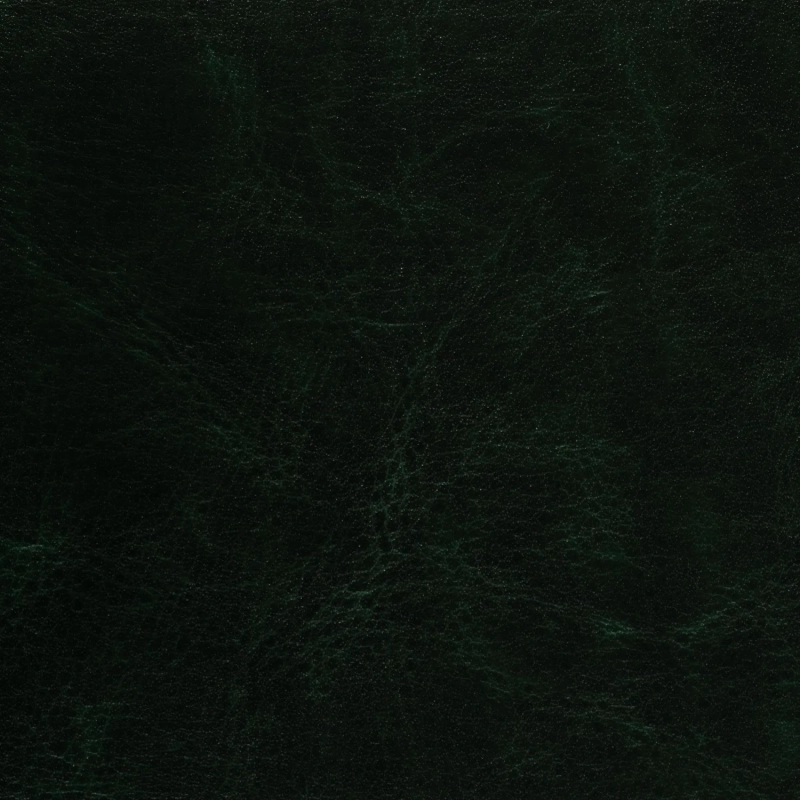 Ежедневник недатированный зелен,А5,145х205мм,136л, Sidney NEBRASKA 3-128/05