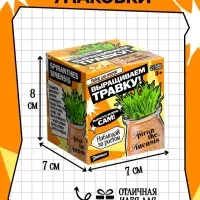 Набор для опытов &laquo;Выращиваем травку&raquo;, своими руками, оранжевый