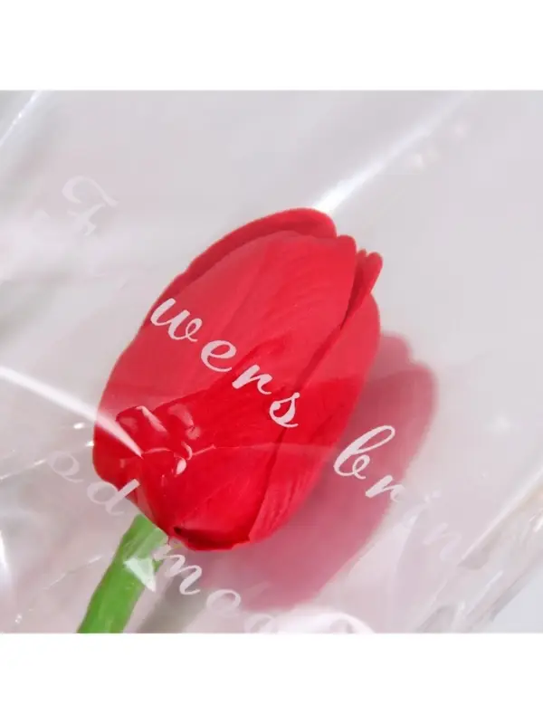 Мыльный тюльпан, красный