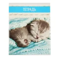 Тетради 5 штук 36 листов в клетку &laquo;Кошки&raquo;, обложка мелованная бумага, блок №2, белизна 75%, (4 разные, 1 повторяющаяся)