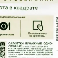 Салфетка однослойная в прозрачной уп, &laquo;Эколайн&raquo; белая, 100 л., 24&times;24