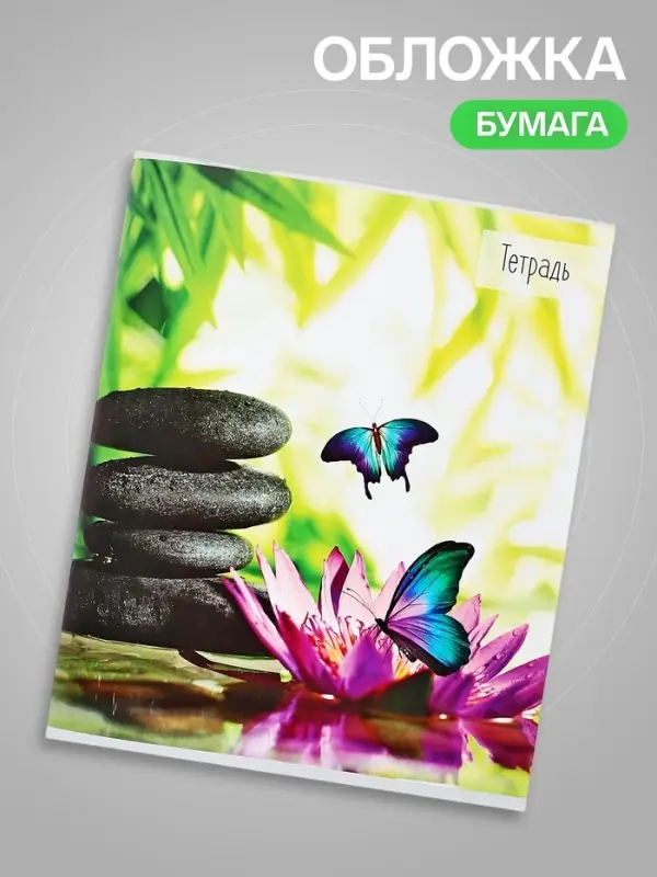 Тетрадь 36 листов в клетку Calligrata &laquo;Бабочки&raquo;, серые листы, МИКС