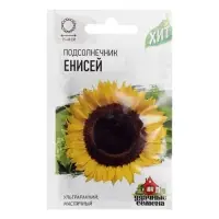 Семена Подсолнечник "Енисей", ц/п,  ХИТ х3, 5 г Семена Подсолнечник "Енисей", ц/п,  ХИТ х3, 5 г
