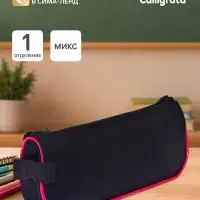 Пенал мягкий 1 отделение 100&times;200&times;45 с ручкой, стандарт, черный, МИКС