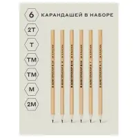 Набор карандашей чернографитных &laquo;Красин. Конструктор&raquo;, 6 штук, разная твёрдость, шестигранные, деревянные