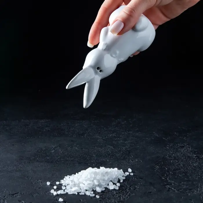 Набор для специй Доляна &laquo;Зайка&raquo;, солонка 50 мл, перечница 50 мл, доломит, белый