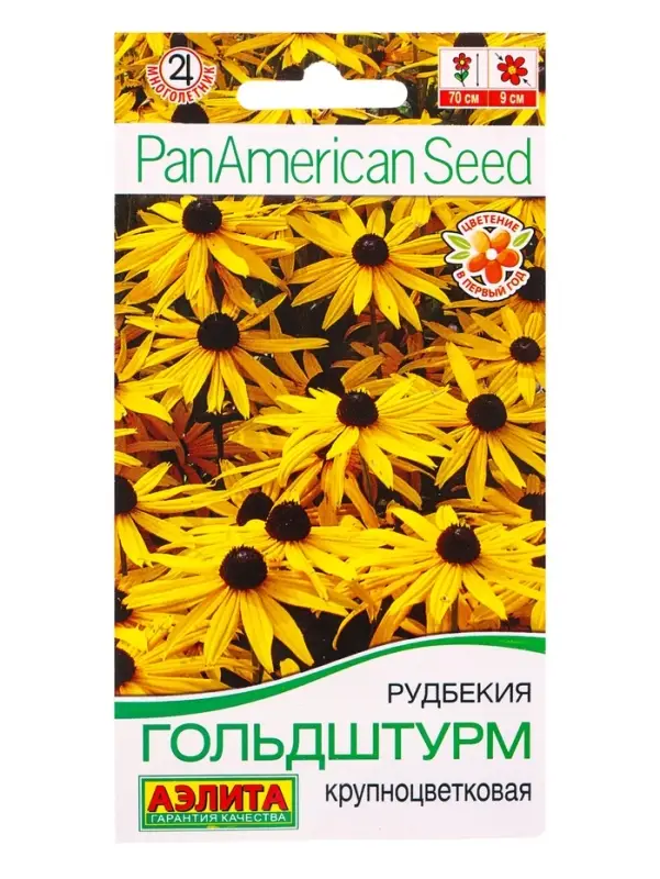 Семена цветов Рудбекия Гольдштурм крупноцветковая Мн Спецсерия PanAmerican, Ц/П,5 шт.