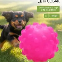 Игрушка для собак &laquo;Мячик&raquo;, 6.5 см, пищащая, фуксия
