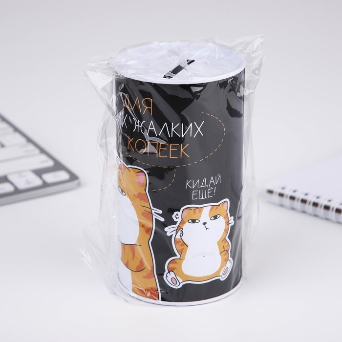 Копилка «Для твоих копеек», 12 х 6,5 см Копилка «Для твоих копеек», 12 х 6,5 см
