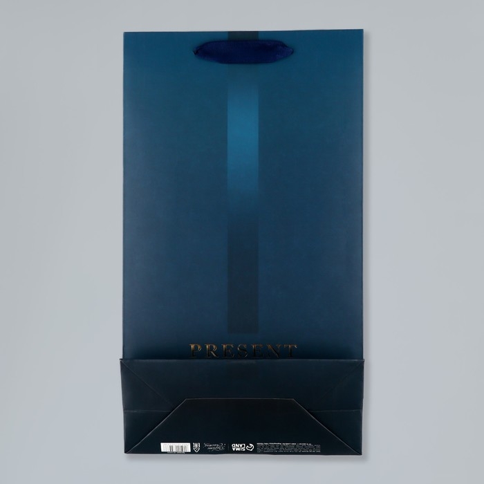 Пакет подарочный под две бутылки, упаковка, «Present», 35 х 20 х 9 см Пакет подарочный под две бутылки, упаковка, «Present», 35 х 20 х 9 см