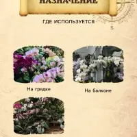 Грунт для Орхидей PETER PEAT, 5 л