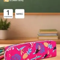 Пенал школьный &laquo;Какаду&raquo;, на молнии, МИКС