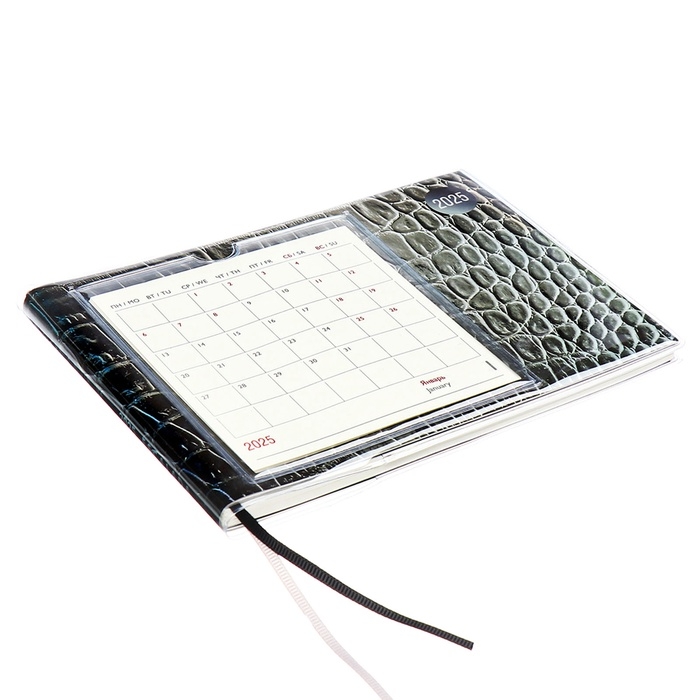 Еженедельник датированный 2025 год, ESCALADA  Еженедельник датированный 2025 год, ESCALADA "змея металлик", мягкая обложка ПВХ, 64 листа, блок 70 г/м², 180 х 127мм