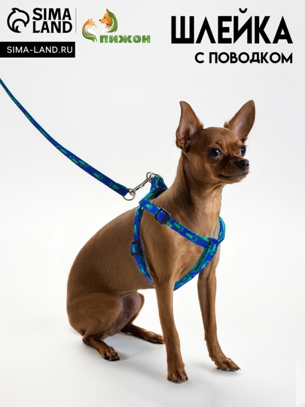 Комплект Комплект "Большая лапа", ширина 1 см, поводок 120 см, шлейка 25-36 см, сине-зелёный
