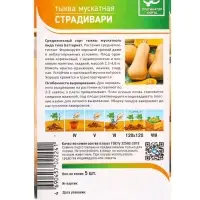 Семена Тыква &laquo;Страдивари&raquo; 5 шт.