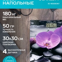Весы