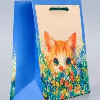 Пакет подарочный ламинированный &laquo;Котик&raquo; 11.5&times;14.5&times;6.5 см