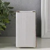 Сувенир полистоун "Заюшка с розовым бантиком в цветочной юбочке" длинные ножки 4,8х4х24,5 см   10928