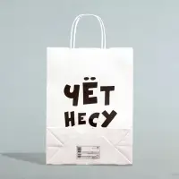 Пакет подарочный бумажный «Чёт несу», 24×14×28 см