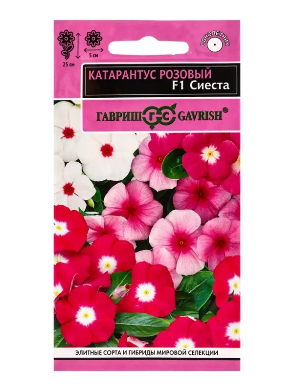 Семена цветов Катарантус Сиеста F1 (ассорти)* 5 шт.