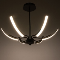 Люстра "Элеганс" LED 48Вт 3000-6000К черный 80х80х45 см BayerLux