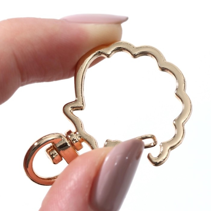 Карабин металлический «Ракушка», 40 × 30 мм / 8 × 2,2 мм, 5 шт, цвет золотой Карабин металлический «Ракушка», 40 × 30 мм / 8 × 2,2 мм, 5 шт, цвет золотой