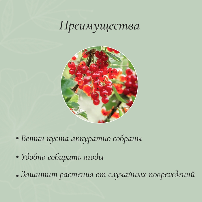 Кустодержатель, d=50 см, h=90 см, ножка d=0,3 см, металл, набор 2 шт., зелёный Кустодержатель, d=50 см, h=90 см, ножка d=0,3 см, металл, набор 2 шт., зелёный