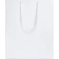 Пакет подарочный Ample M, 23х28х9см, белый, 7440.60