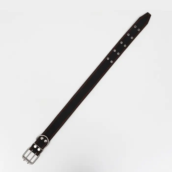 Ошейник кожаный на синтепоне, 82&times;4.5 см, ОШ 50-70 см, чёрный