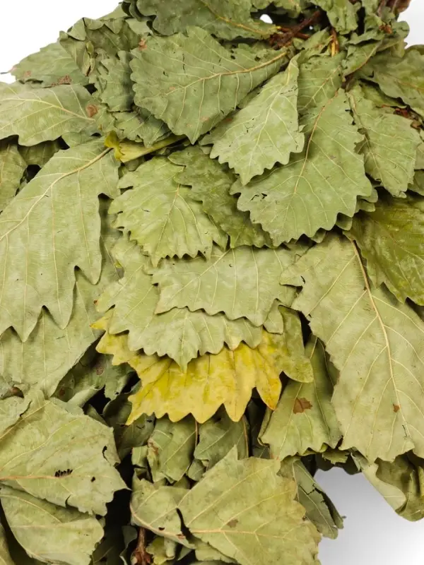 Веник для бани, дубовый