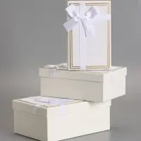 Наборок коробок 3 в 1 прямоугольные 23*16*9.5 21*14*8.0 19*12*6.5 см