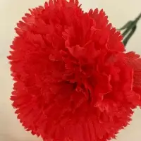 Цветы искусственные &laquo;Гвоздика красная&raquo;, h=46 см, d=8 см