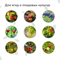 Сетка садовая, мягкая, 5 × 4 м, ячейка 15 × 15 мм, от птиц, Greengo