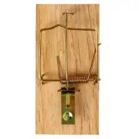 Мышеловка, 9.8×4.7 см, дерево, Greengo