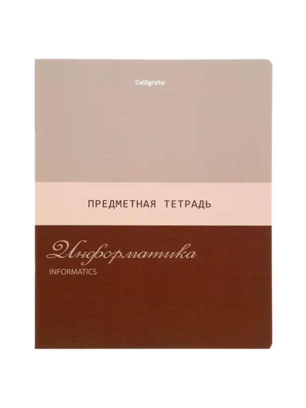 Комплект 12 предметных тетрадей 48 листов, справочная информация, 60гр, Стиль 2026