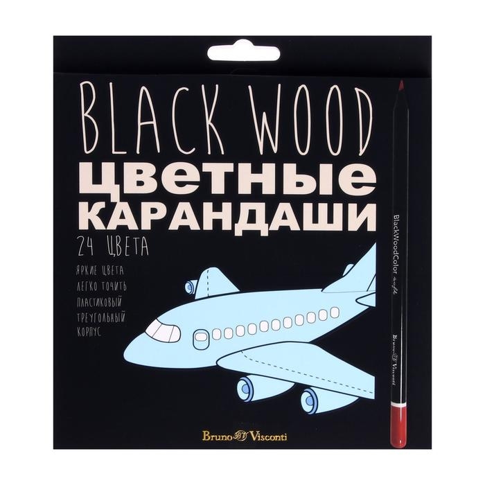 Карандаши 24 цвета BlackWoodColor, пластиковые, трёхгранные, МИКС Карандаши 24 цвета BlackWoodColor, пластиковые, трёхгранные, МИКС