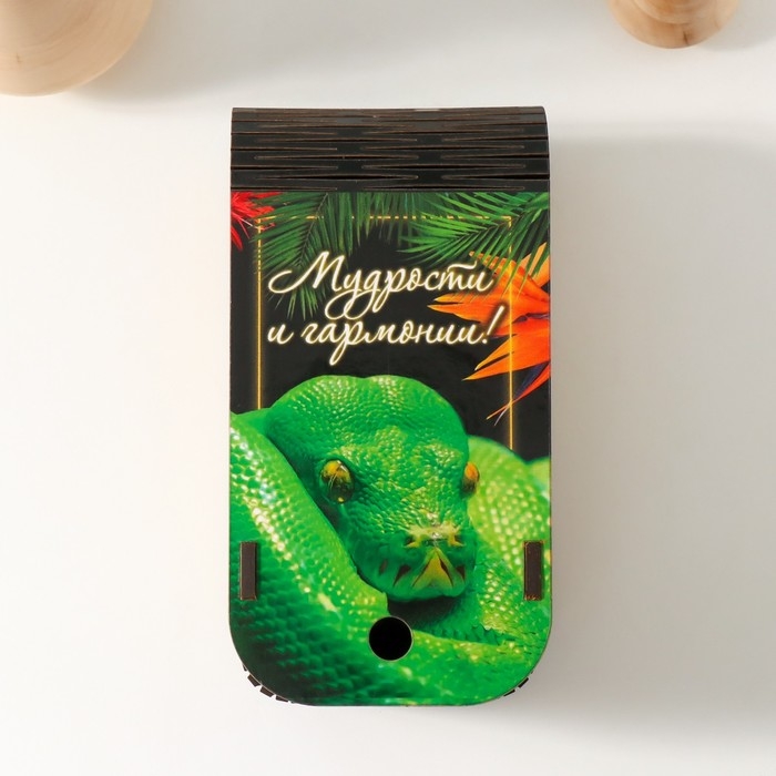 Новогодняя шкатулка  Новогодняя шкатулка "Змея. Тропики" 13х7х4 см