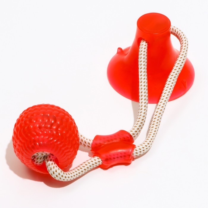 Игрушка для собак Игрушка для собак "Шар на присоске", 40 см, микс цветов