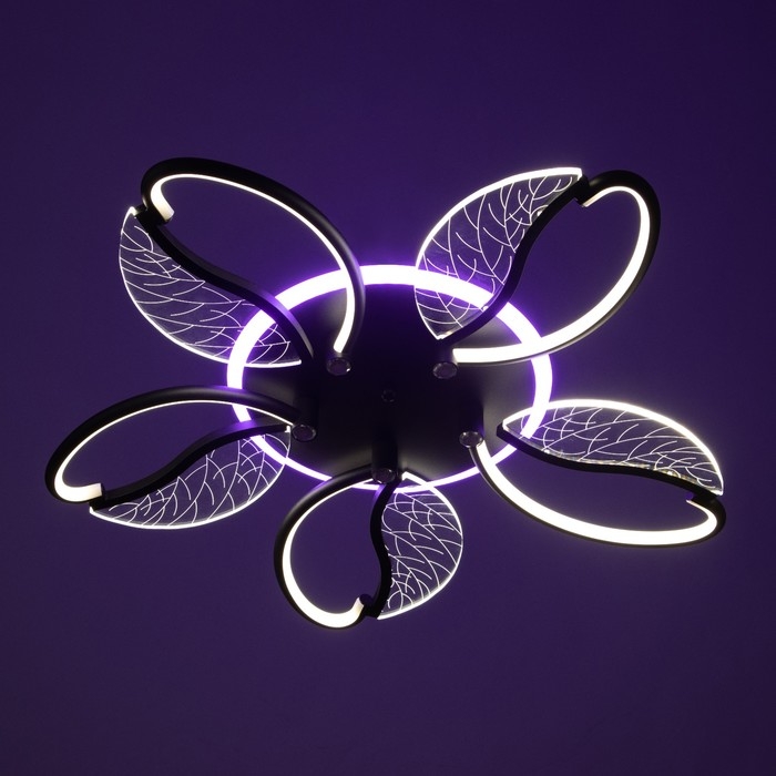 Люстра Люстра "Астрид" 5хLED 110Вт 3000-6000К RGB черный 65х65х8см