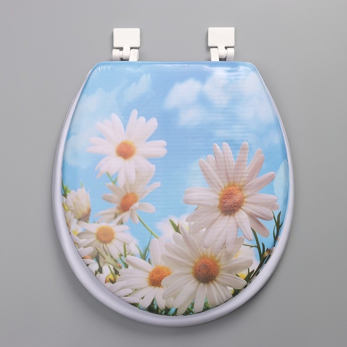 Сиденье для унитаза с крышкой Доляна «Ромашки», 42×36,5 см Сиденье для унитаза с крышкой Доляна «Ромашки», 42×36,5 см