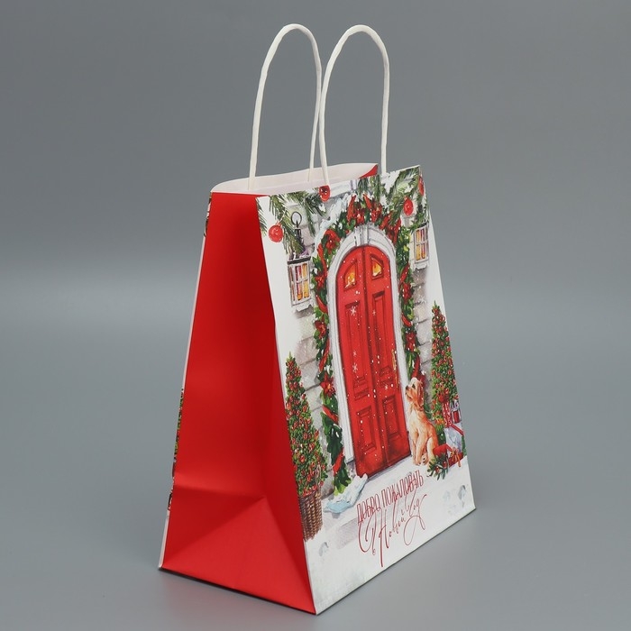 Пакет подарочный новогодний крафтовый «Добро пожаловать», 22 х 25 х 12 см, Новый год