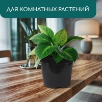 Горшок для рассады, 15 л, d = 31 см, h = 26 см, чёрный, Greengo