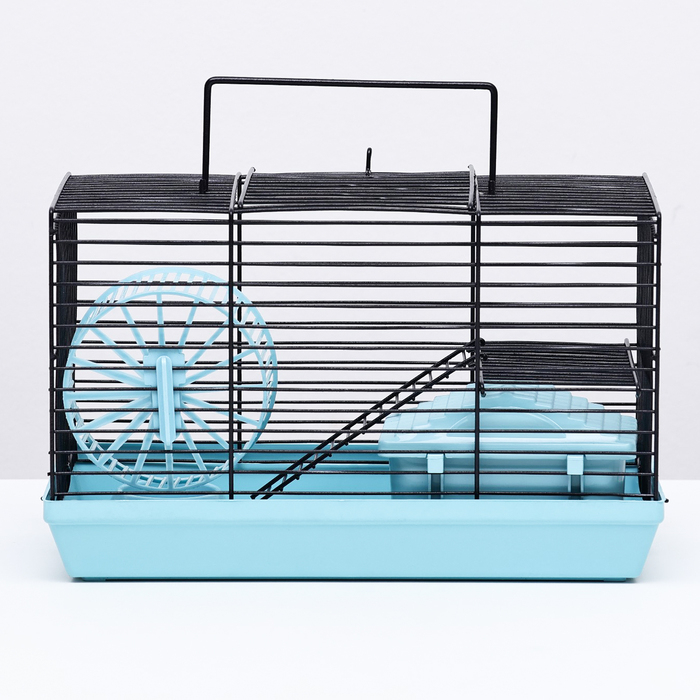 Клетка-мини для грызунов Клетка-мини для грызунов "Пижон" №2, укомплектованная, 27 х 15 х 16 см, бирюзовая