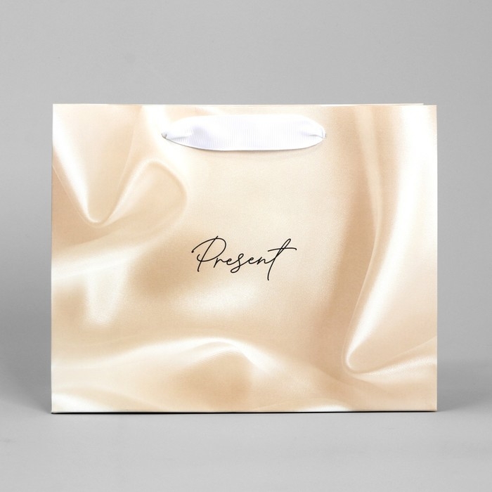 Пакет подарочный, упаковка, «Present», 22 х 17.5 х 8 см Пакет подарочный, упаковка, «Present», 22 х 17.5 х 8 см