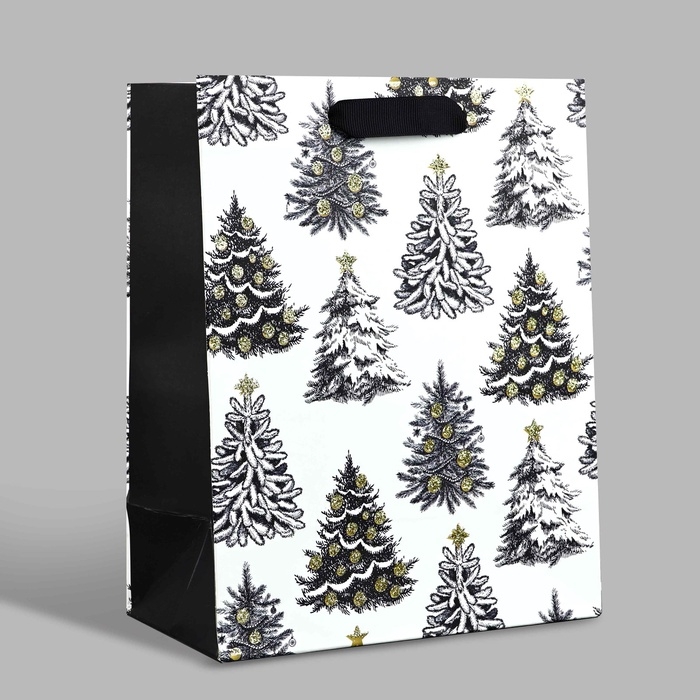 Пакет подарочный новогодний ламинированный «Зимняя сказка», MS 23 x 18 х 10 см Пакет подарочный новогодний ламинированный «Зимняя сказка», MS 23 x 18 х 10 см