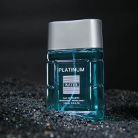 Туалетная вода мужская Platinum Water, 100 мл (по мотивам Blue Label (Givenchy)