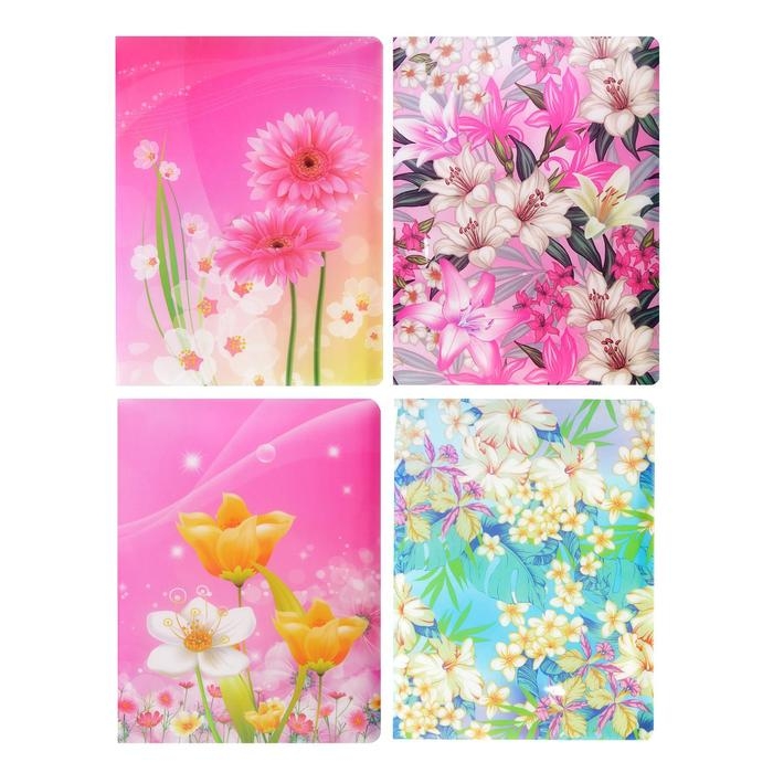 Папка с 30 вкладышами Calligrata Папка с 30 вкладышами Calligrata "Цветы" А4, пластик, 400 мкм, МИКС