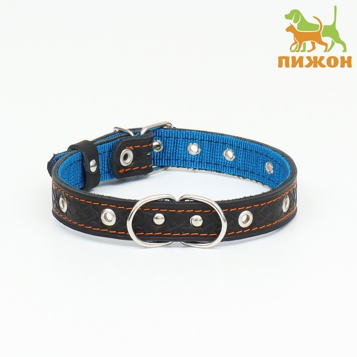 Ошейник кожаный усиленный капроном с полукольцом, 55 х 2,5 см, ОШ 27-53 см, чёрный Ошейник кожаный усиленный капроном с полукольцом, 55 х 2,5 см, ОШ 27-53 см, чёрный