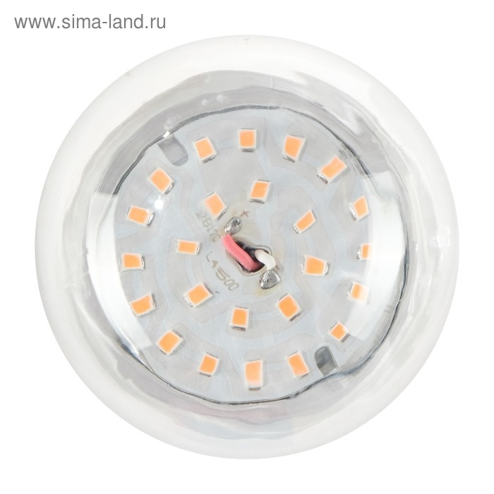 Фитолампа светодиодная Luazon, А60, E27, 15 Вт, IP44, 220 В, 270°, мультиспектральная Фитолампа светодиодная Luazon, А60, E27, 15 Вт, IP44, 220 В, 270°, мультиспектральная